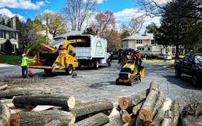 Best Firewood Processing and Delivery  in Pine Mountain Lake, CA